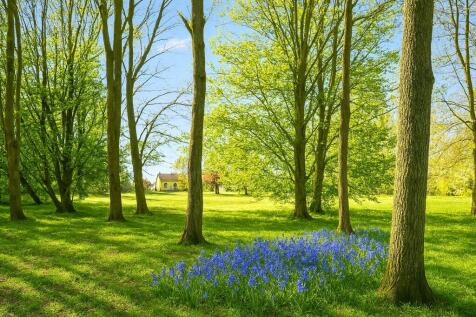 Woodland