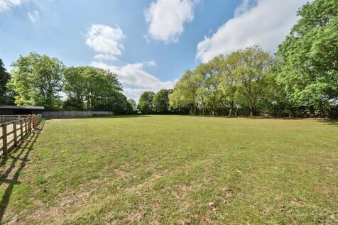 1296642-9-682600e3a0e6a-ARW.nef (1).jpg