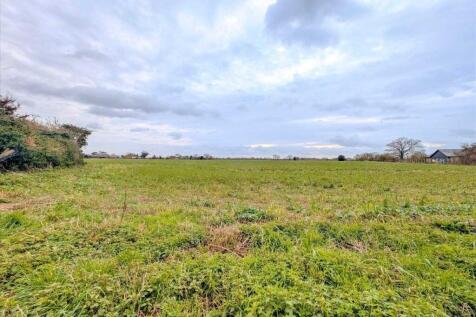 Field Behind