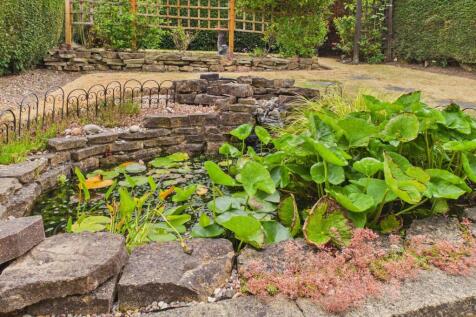 Pond