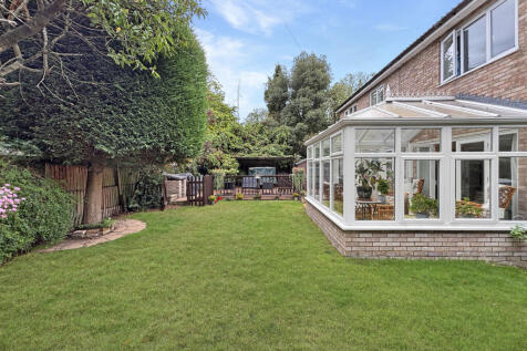 Back Garden