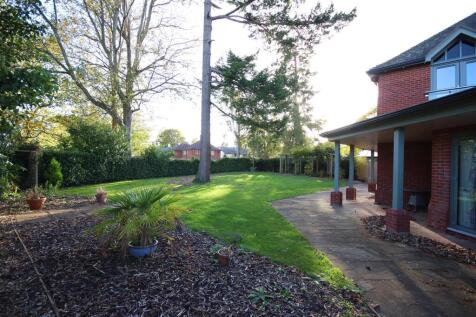 Garden 3.jpg