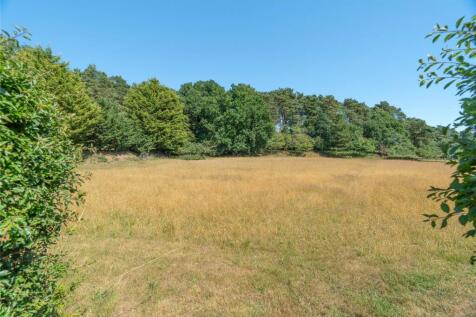 Meadow