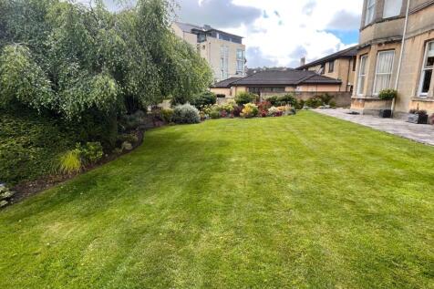 Garden In Summer