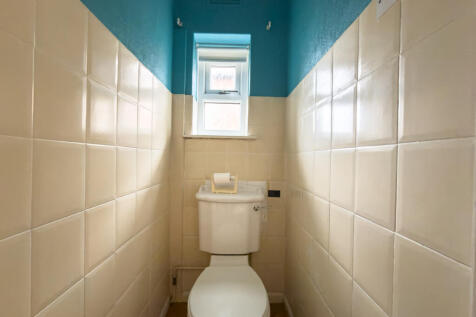 IMG 7781 T202511161807.jpg