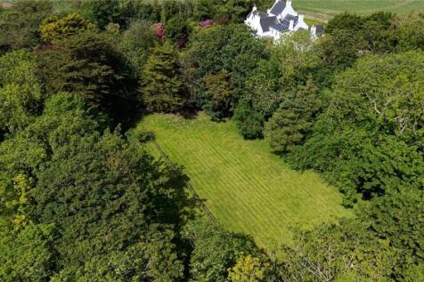 Lawn/Former Paddock