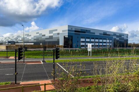 Eighty_Pan MK_20251113_0554.jpg