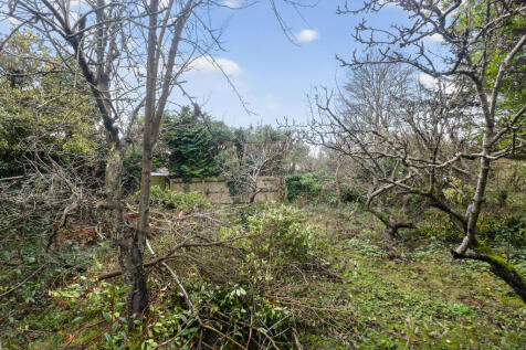 Orchard