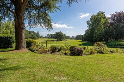 untitled-446-HDR.jpg
