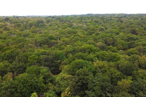 133 Overdale still4.jpg