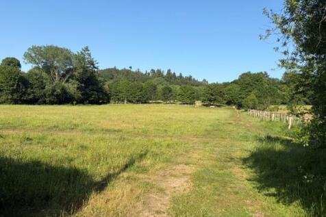 Scott's field shot 2.jpg