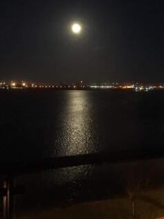 Night View 2.jpg