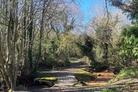 woodland river