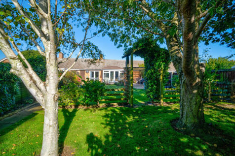 DSC_1516_17_18_19...