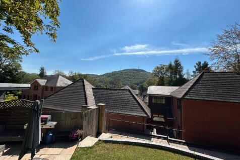 Property Image 63