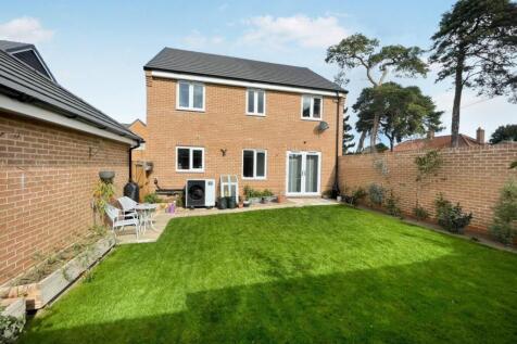 tlc_23631532-1494-48fa-a18e-f58c4cfc899f_70c1451.j