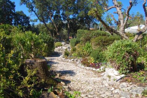 Garden with pathways