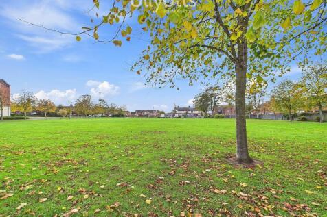 View from Propert...