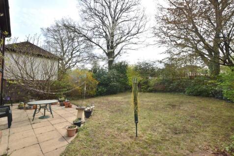 Garden.JPG