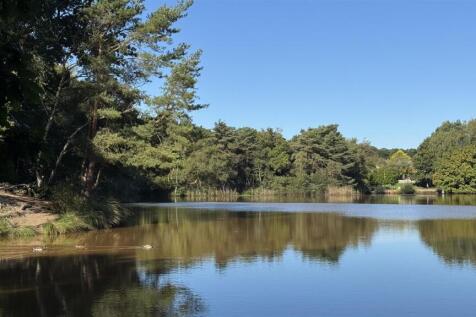 Creekmoor Ponds Nature Reserve