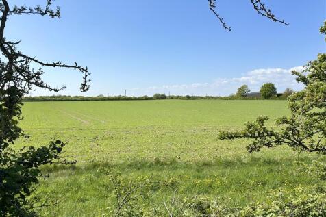 FIELDS VIEWS FROM REAR
