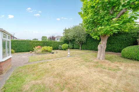 1331566-5-6888c70...