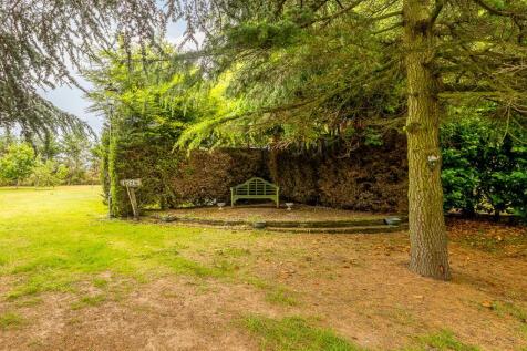 Property Image 44