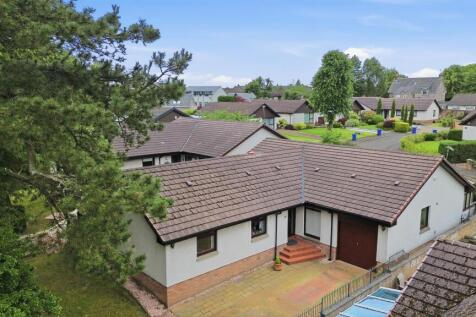 dji_0990.jpg