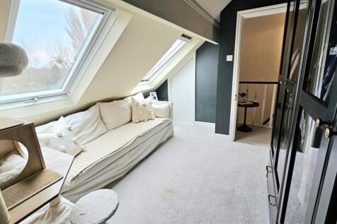 20250214_112454 (Large).jpg