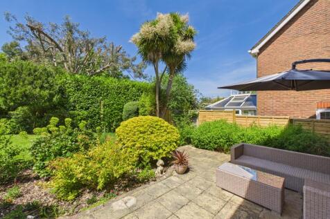Back Garden