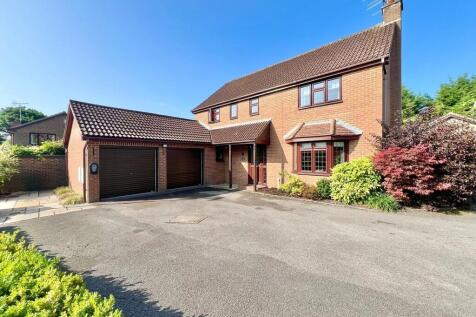 WhatsApp Image 20...