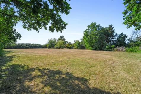 MEADOW