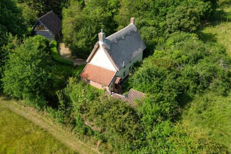 Apple Trees (16).jpg