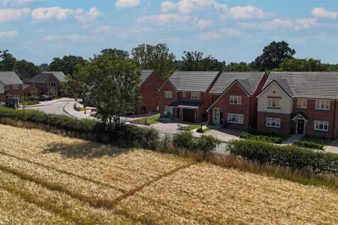Views over the meadow