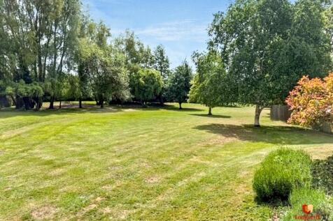 Garden 3