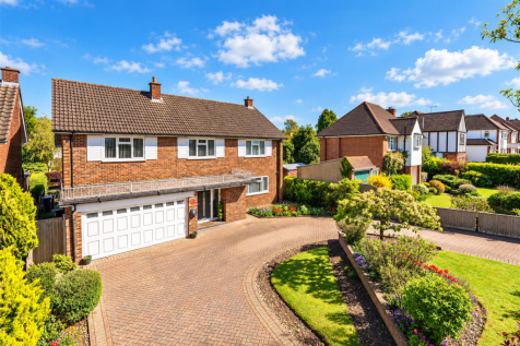 Sunlit Suburban Family Home and Garden.png