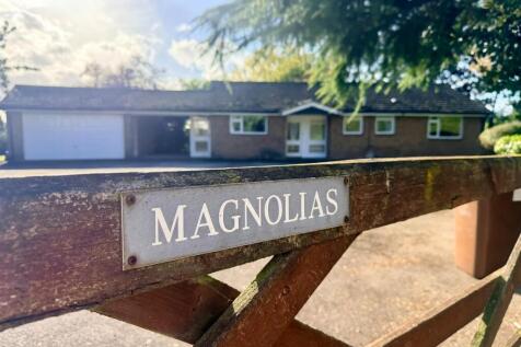 magnolias gate.jpeg