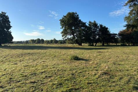 Land