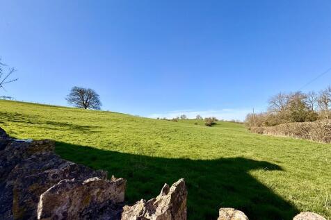 View from Garden