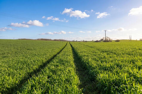 Land - Lot 2