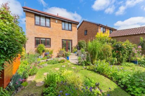 Property Image 21
