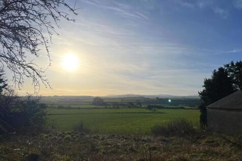 View From The House