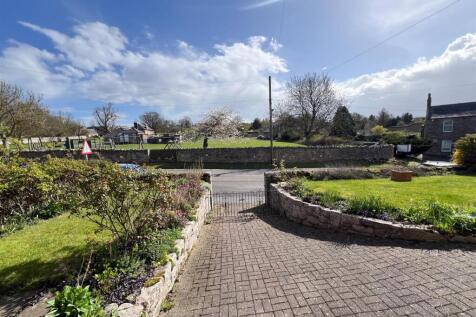 IMG_6856.jpg