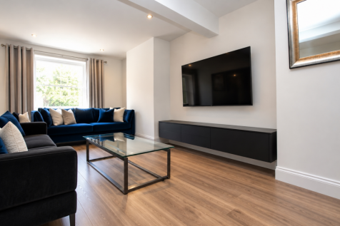 Modern Navy and Charcoal Living Room