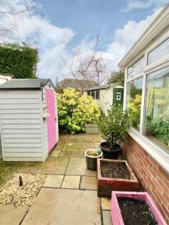 Garden 3.jpg