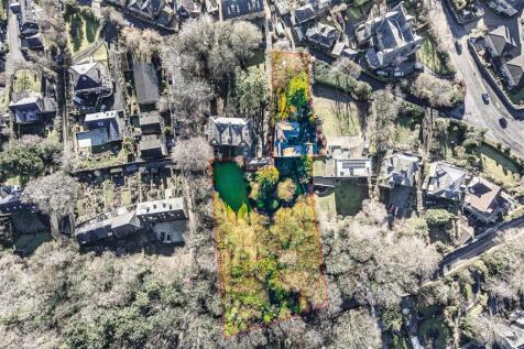 Aerial overview of plot