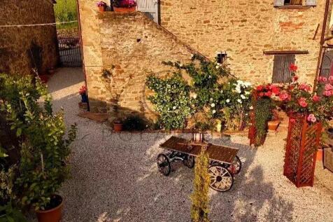 Charming outdoor courtyard with lush plants, a bic