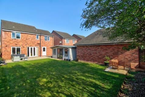 IMG_1164_5_6_Realistic