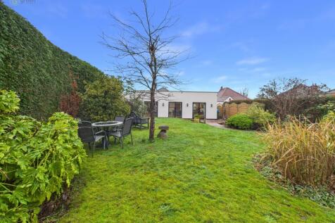 cam04425g0pr0329still037