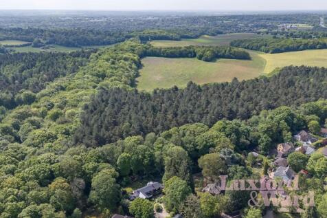 Harmer Green Woods